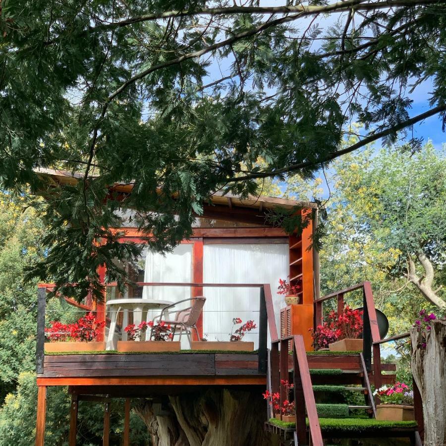 Villa Casa en el Árbol Suesca Esterno foto